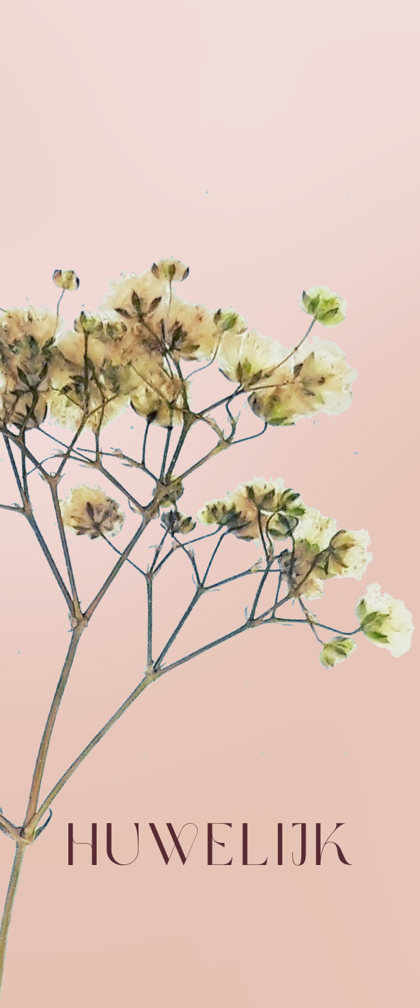 Fier Weideblik - 5x12cm