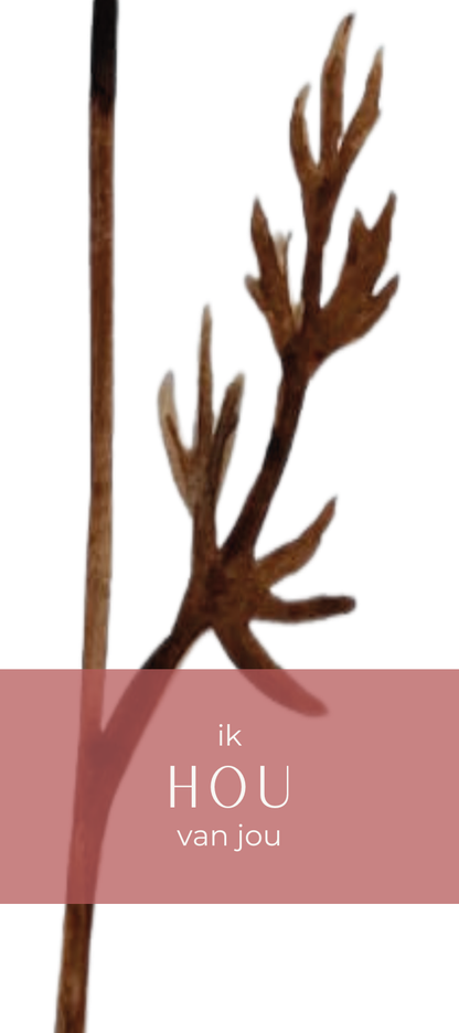 Fier Grafisch - 5x12cm
