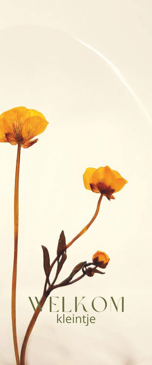 Fier Weideblik - 5x12cm