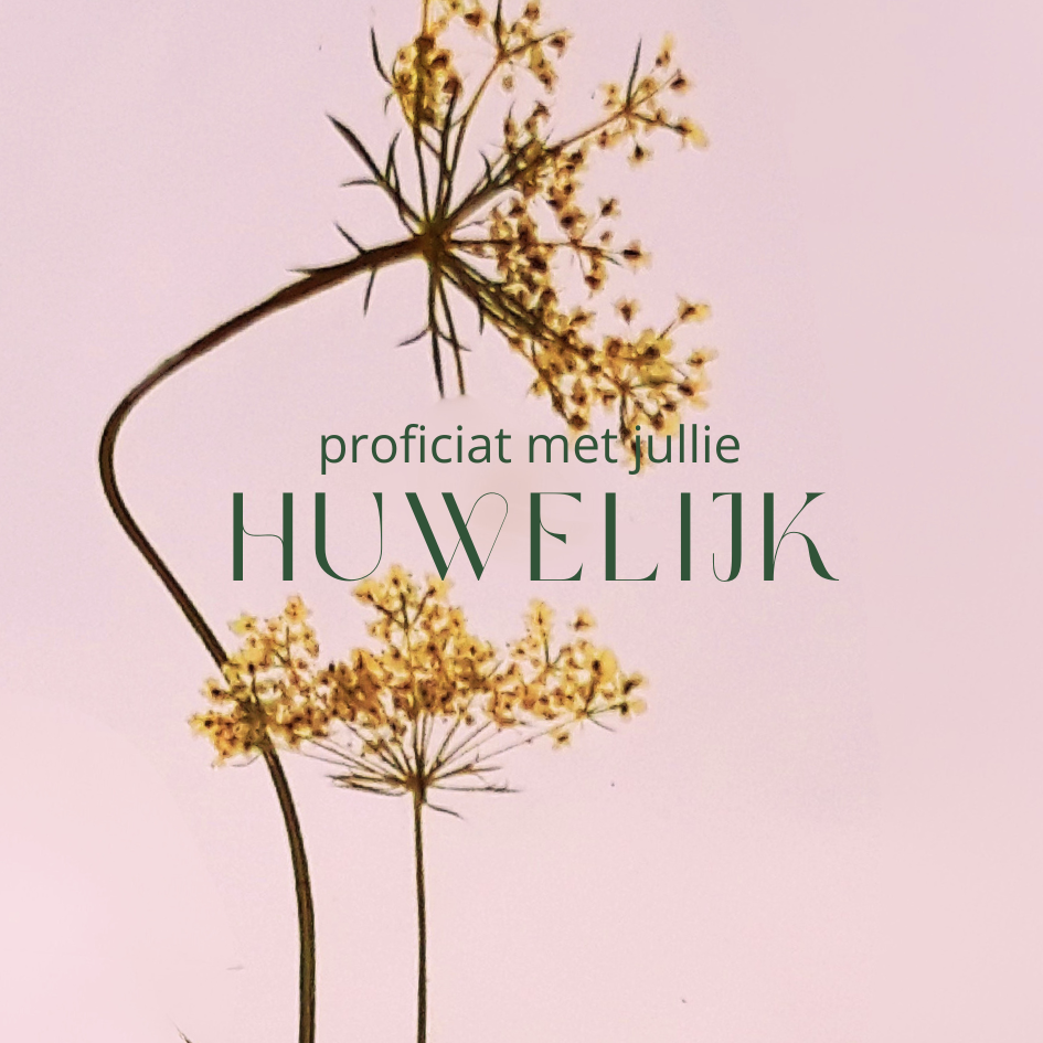 Fier Weideblik vierkant - 7,4x7,4cm - dubbel