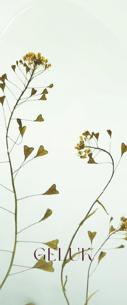 Fier Weideblik - 5x12cm