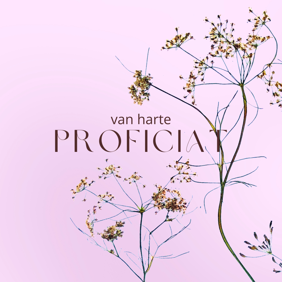 Fier Weideblik vierkant - 7,4x7,4cm - dubbel