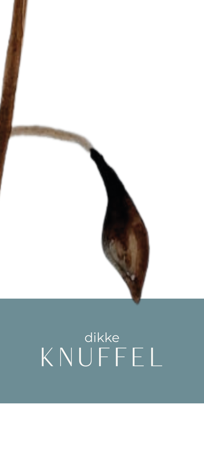 Fier Grafisch - 5x12cm