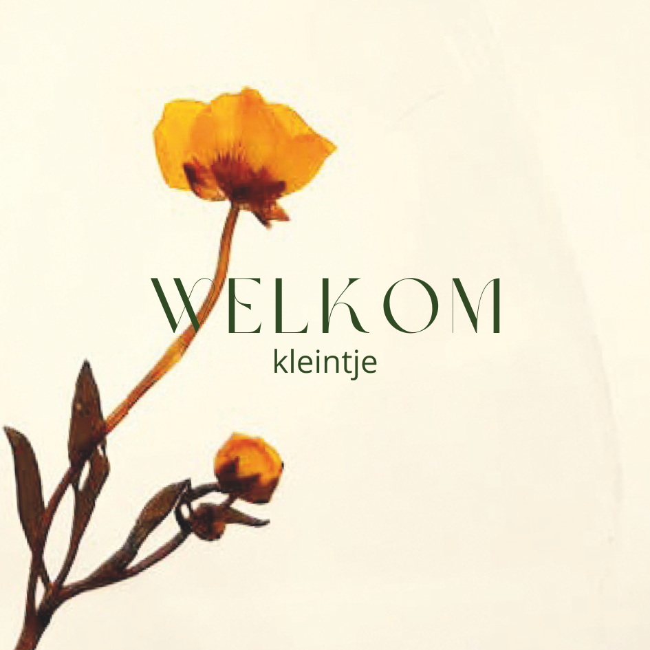 Fier Weideblik vierkant - 7,4x7,4cm - dubbel