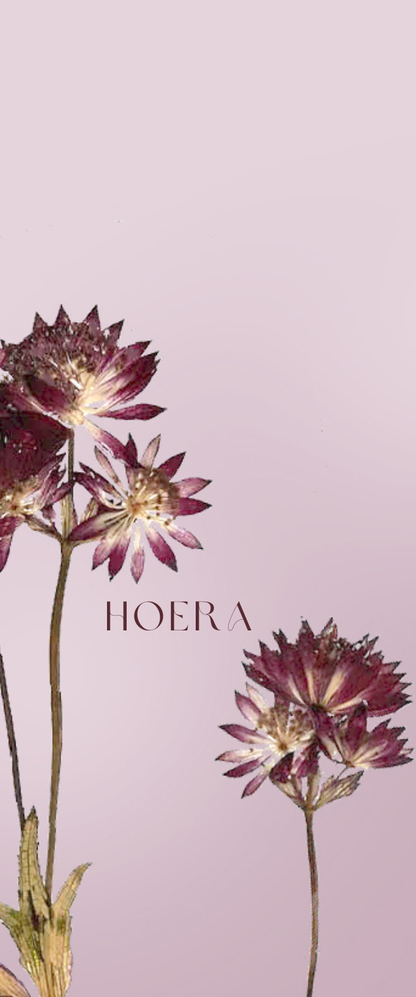 Fier Weideblik - 5x12cm