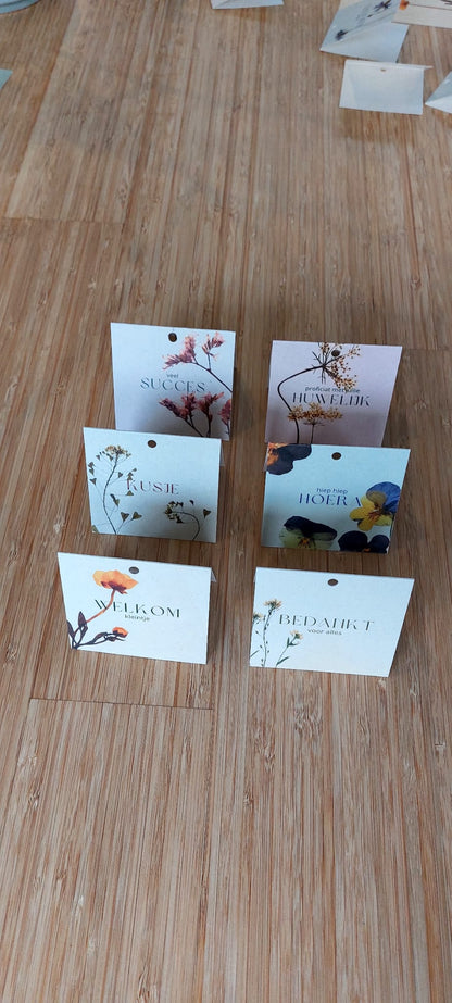 Fier Weideblik vierkant - 7,4x7,4cm - dubbel