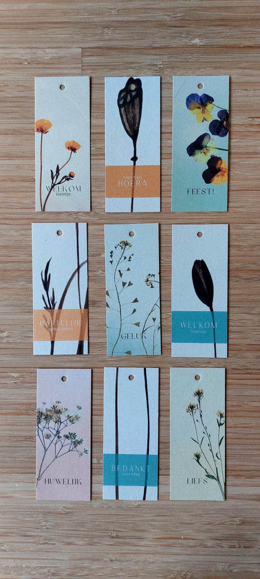 Fier Grafisch - 5x12cm