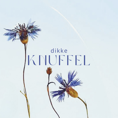 Fier Weideblik vierkant - 7,4x7,4cm - dubbel