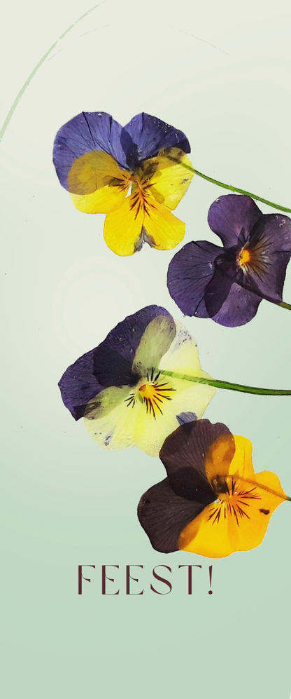 Fier Weideblik - 5x12cm