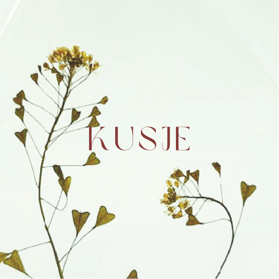 Fier Weideblik vierkant - 7,4x7,4cm - dubbel