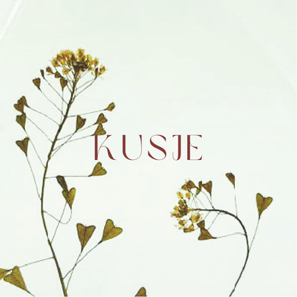 Fier Weideblik vierkant - 7,4x7,4cm - dubbel