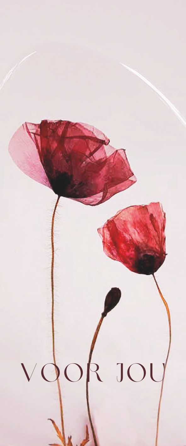 Fier Weideblik - 5x12cm