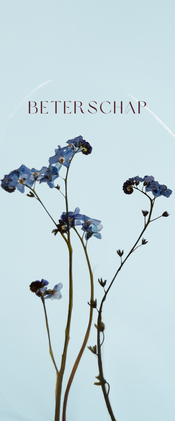 Fier Weideblik - 5x12cm