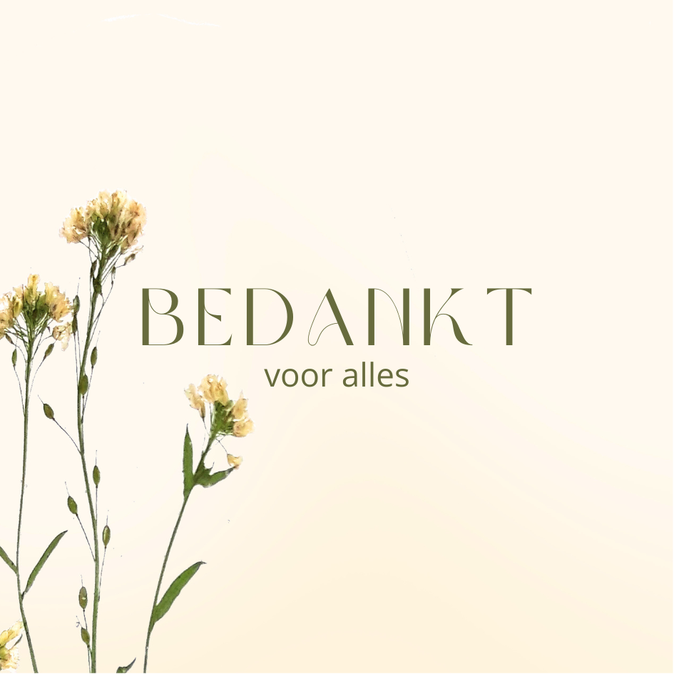 Fier Weideblik vierkant - 7,4x7,4cm - dubbel