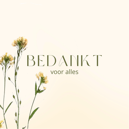 Fier Weideblik vierkant - 7,4x7,4cm - dubbel