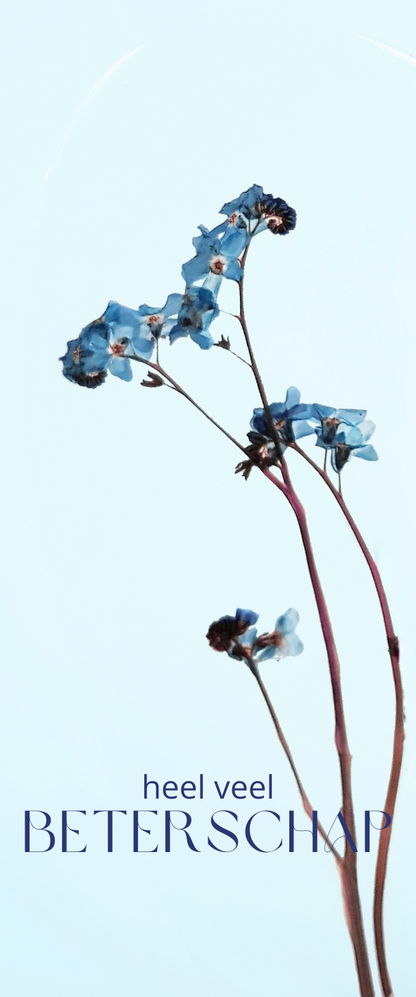 Fier Weideblik - 5x12cm