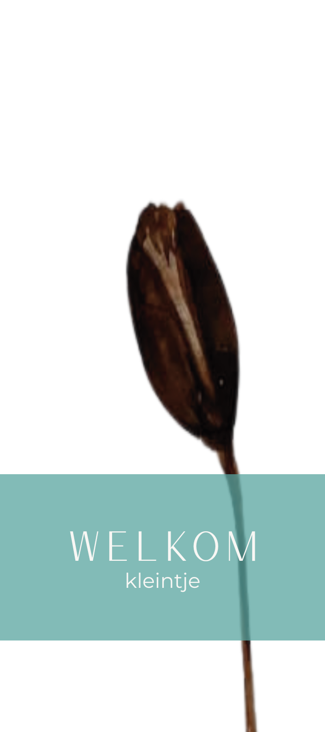 Fier Grafisch - 5x12cm