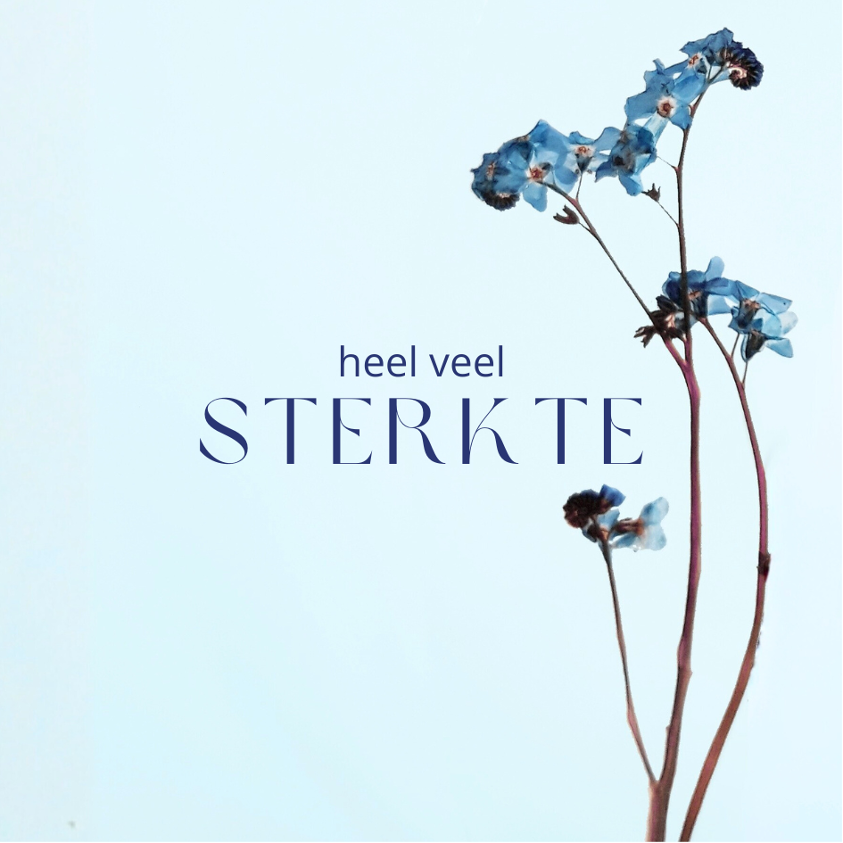 Fier Weideblik vierkant - 7,4x7,4cm - dubbel