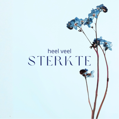 Fier Weideblik vierkant - 7,4x7,4cm - dubbel