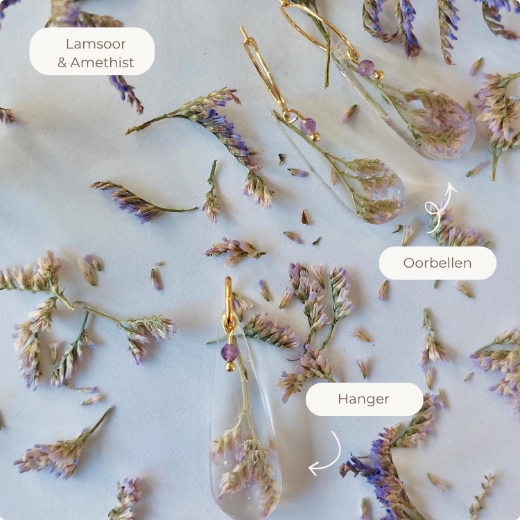 Starterpack "Purple Bliss"