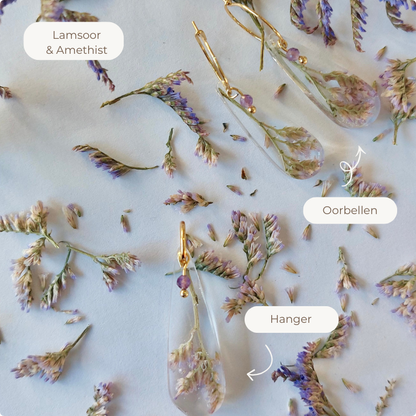 Starterpack "Purple Bliss"