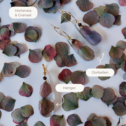 Starterpack "Purple Bliss"