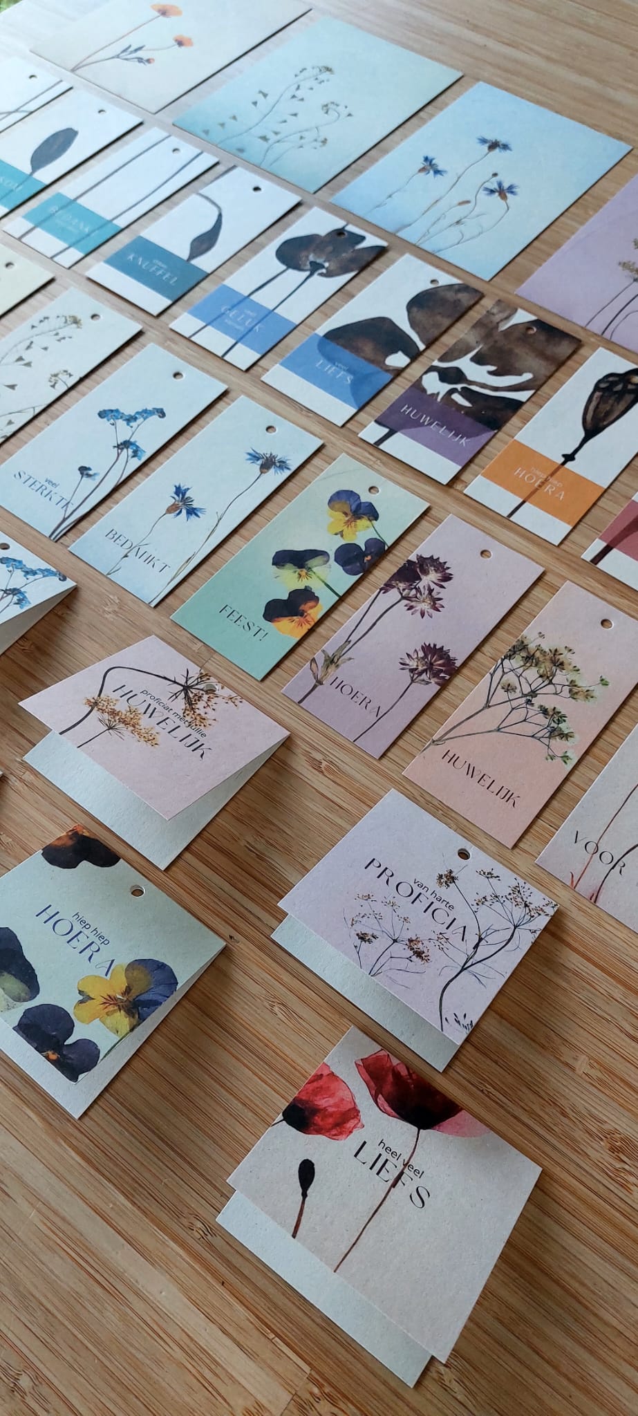 Fier Weideblik - 5x12cm